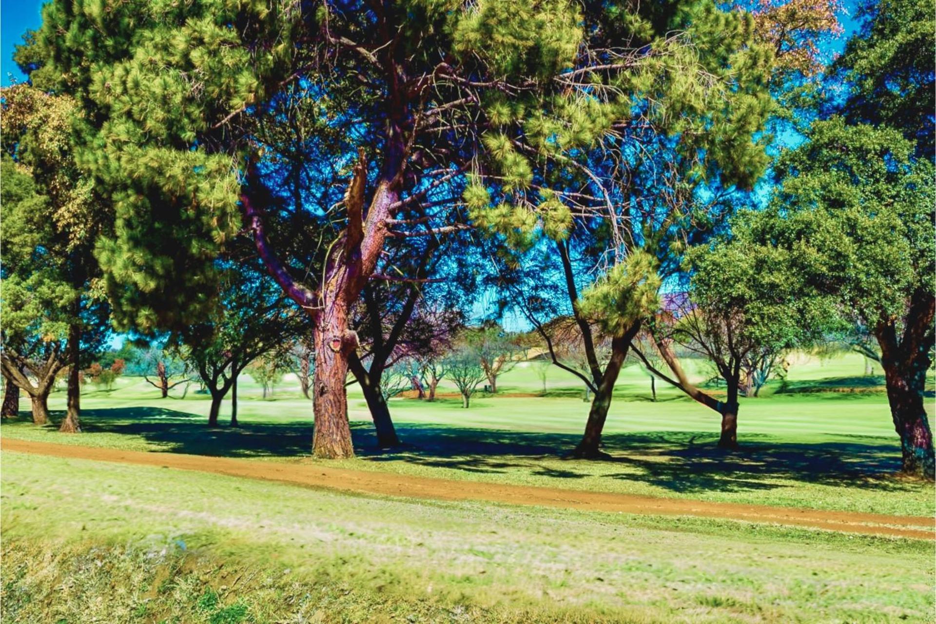 Glendower View Guest House Edenvale Exterior foto